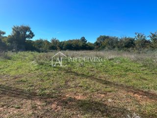 UMAG, dintorni - Terreno edificabile con grande potenziale, 850 m²