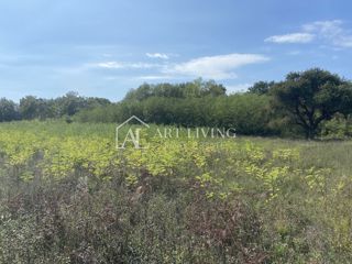 Umago, dintorni - terreno agricolo in posizione tranquilla, 3700 m2