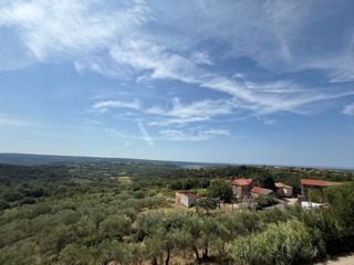 Moderna vila, Krasica, Buje