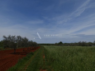 Poljoprivredno zemljište u Petroviji, Umag