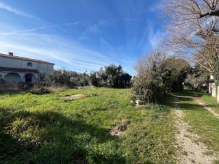 Velika kuća s pogledom na more, Đuba, Umag