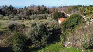 Građevinsko zemljište sa dozvolom za 3 kuće, Umag okolica