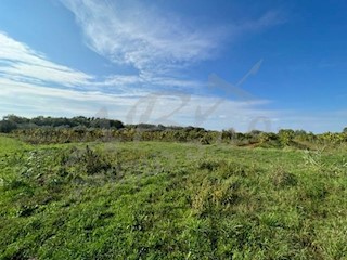 Terreno agricolo vicino a Verteneglio