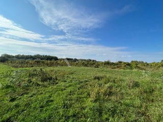 Poljoprivredno zemljište u blizini Brtonigle