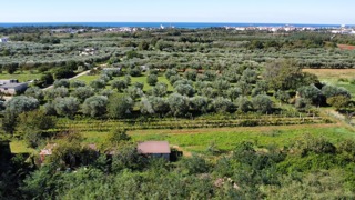 Terreno con permesso di costruzione per una casa bifamiliare, Finida, Umago