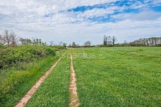 Terreno edificabile + terreno agricolo, Loborika, Istria