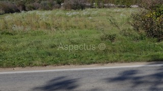 Vodnjan, terreno agricolo 3676m2