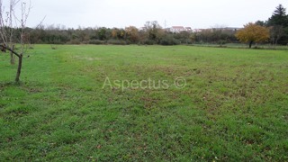 Condominio terreno edificabile 3900m2, Rovigno