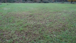 Condominio terreno edificabile 3900m2, Rovigno