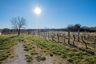 Terreno edificabile a 200 m dal centro di Marčana, Istria