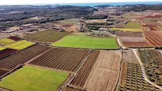 Terreno agricolo vicino a Rovigno