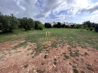 Istria, Zambratija, terreno edificabile 680m2, utenze pagate, progetto