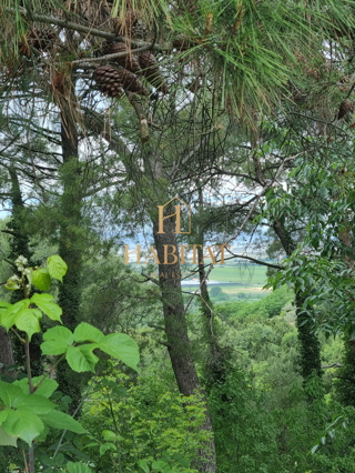 Istria, Buje, Kastel, terreno edificabile 872m2, vista mare