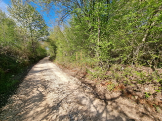 Istria, Umago, Petrovija, bosco 9530m2