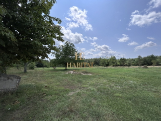 Istria, Zminj, terreno edificabile 2200m2, vendita