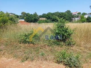 Terreno edificabile 812m2 + terreno agricolo 1368m2 - Loborika