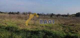 Terreni agricoli Šišan, Ližnjan, 4.862m2