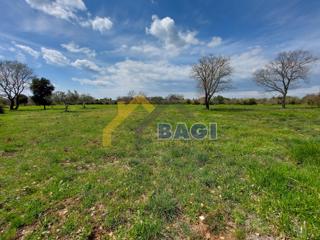 Terreni agricoli Rovinj, 4.732m2