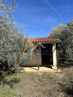 Uliveto con casolare - 2252 M2 - FAŽANA!