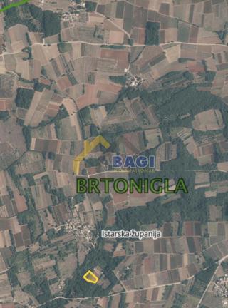 Terreni agricoli Brtonigla, 7.685m2
