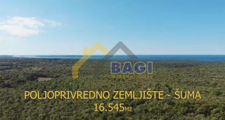 Terreni agricoli Peroj, Vodnjan, 16.545m2