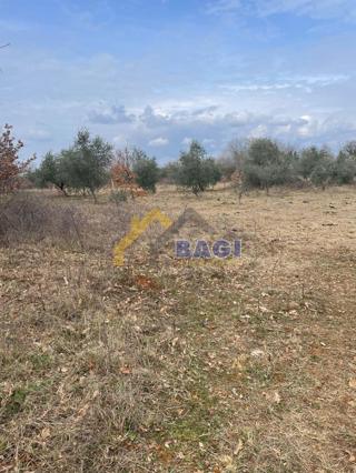 Terreno edificabile Barban, 2.410m2