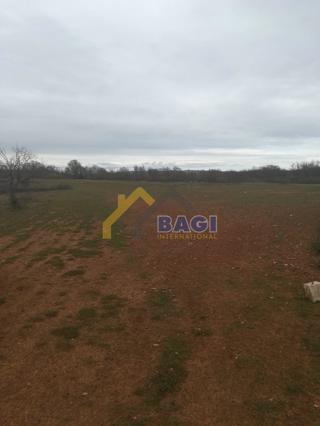 Terreni agricoli Šarići, Marčana, 40.000m2