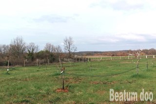 Terreno agricolo con uliveto Kovri - Cittanova