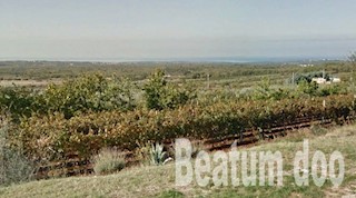 terreno per la costruzione di ville