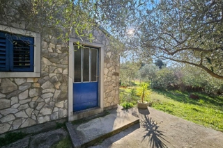 Terreno agricolo con annesso annesso