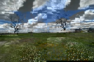 Terreno in posizione strategica