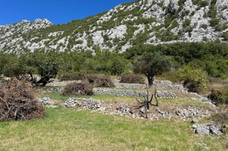 Ampio terreno edificabile in posizione tranquilla