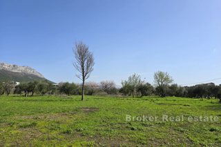 Atterra in una posizione tranquilla