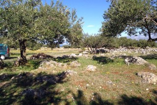 Terreno agricolo, in vendita