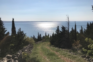 Terreno edificabile di pregio in prima fila sul mare