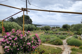 Terreno edificabile vicino al mare