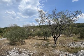 Ampio terreno edificabile in una zona tranquilla della città