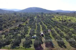 Un terreno spazioso vicino al mare