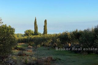 Terreno agricolo con vista mare