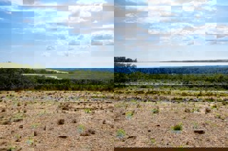 Terreno edificabile con vista mare