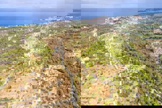 Ampio terreno con grande potenziale