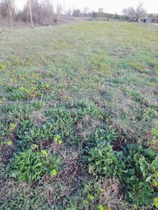 Terreno Žminj, 1.900m2