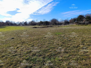 Terreno edificabile, Cokuni, Istra