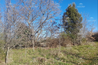 Terreno edificabile, Veliki Vareški, Istria