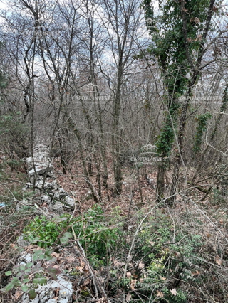 Cava, Lovreč, Istria