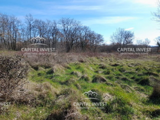 Terreno edificabile, progetto preliminare, Krnica, Marčana, Istra