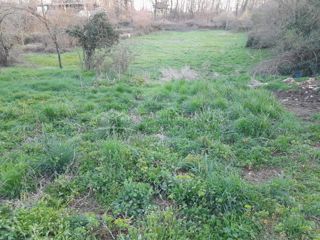 Terreno Križanci, Žminj, 5.800m2