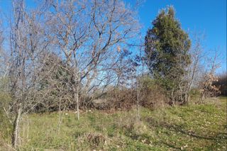 Terreno edificabile, Veliki Vareški, Istria