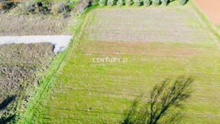 POREČ, PERIFERIA 8 KM, TERRENO EDIFICABILE CON MOLTO POTENZIALE