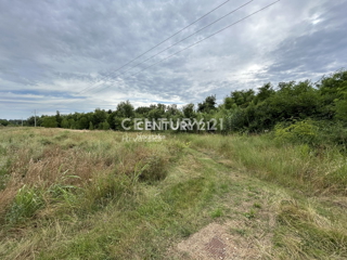 Vendita, Terreno, Edificabile, Provincia di Istria, Umag